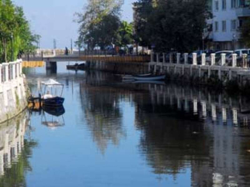 Yalova Deresinde Balıklar Öldü