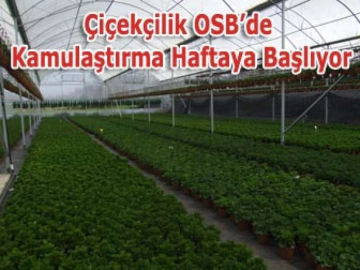 Çiçekçilik OSB’de Kamulaştırma Haftaya Başlıyor