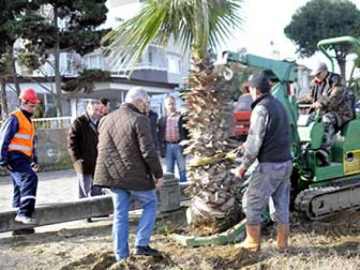 Yalova Kesti, Çiftlikköy Taşıdı