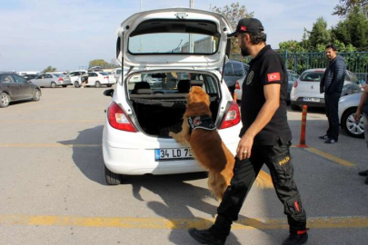 Yalova'da Araçlar Didik Didik Arandı