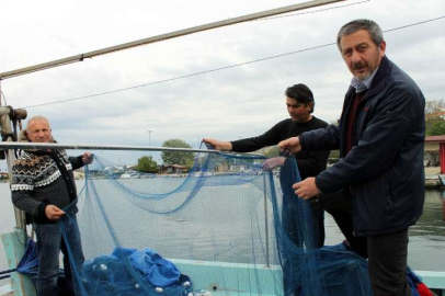 "Yunuslar Balıkçılığı Bitirecek"