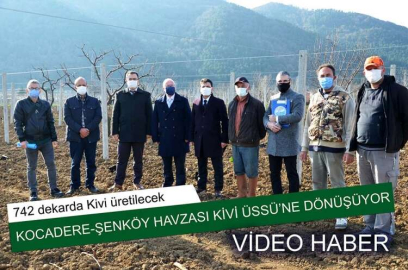 Kocadere-Şenköy Havzası Kivi Üssü’ne Dönüşüyor