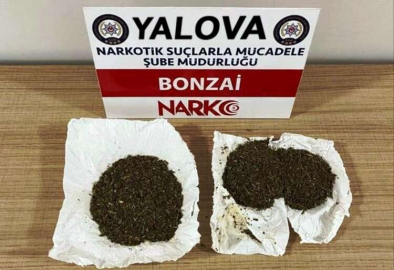 Polis, “Bonzai”Ye Geçit Vermiyor