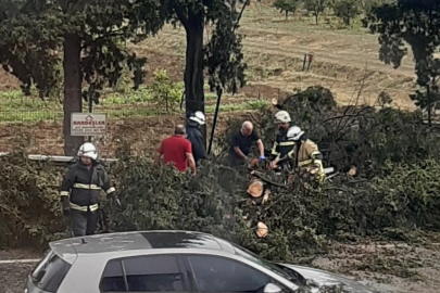 Fırtına Nedeniyle Devrilen Ağaç Yolu Trafiğe Kapadi