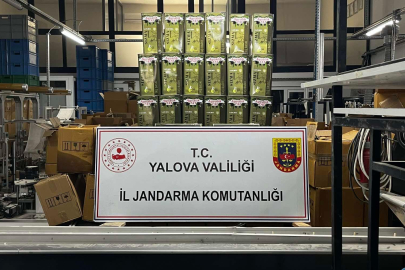 Yalova’da 33 Ton Taklit Zeytinyağı Yakalandı